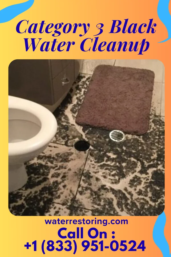 Category 3 Black Water Cleanup in Winamac, IN