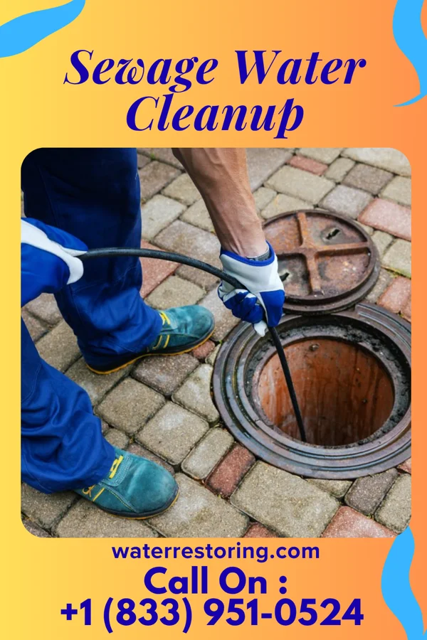 Sewage Water Cleanup in Winamac, IN